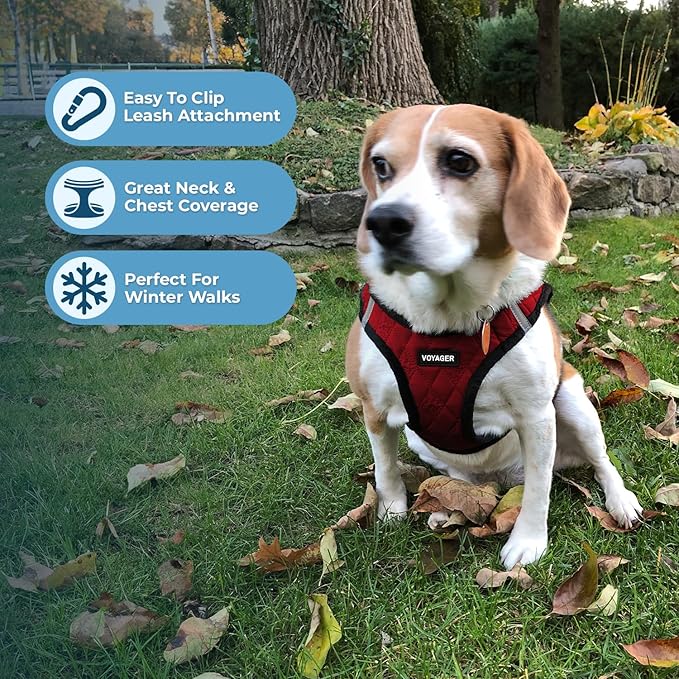 Best Pet Supplies - All Weather Mesh/Plush, Reflective, No Pull Harness for Small, Medium Dogs, Cats - Secure with Hook & Loop Fastener, Buckle, Double D-Rings - Red Plush, XS