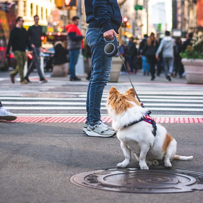 Segarty Dog Leash Retractable 26ft, Dog Leashes for Small Medium Large Pets Up to 110lbs, Heavy Duty 1 Button Break & Lock No Tangle Nylon Leads for Pet Walking & Training, Black