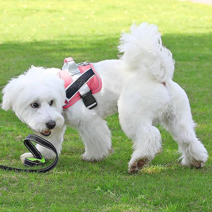 Bolux Dog Harness, No-Pull Reflective Breathable Adjustable Pet Vest with Handle for Outdoor Walking - No More Pulling, Tugging or Choking