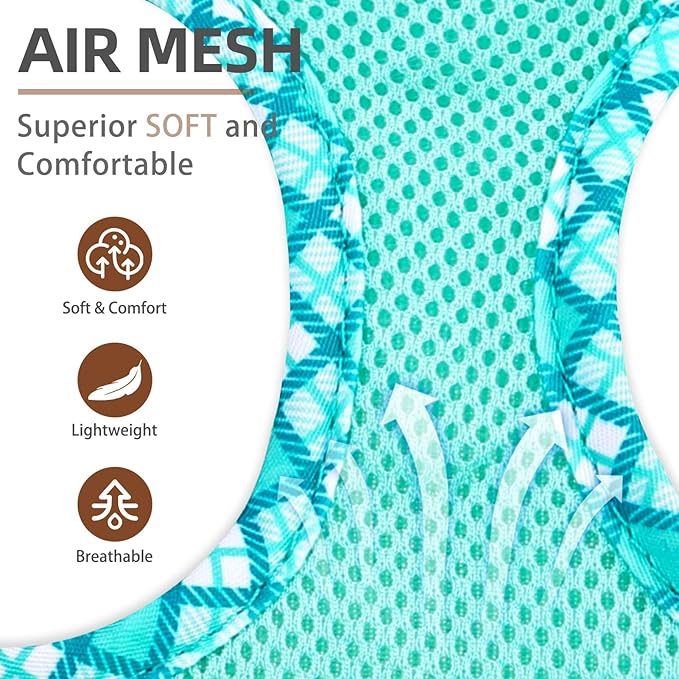 PUPTECK Dog Harness and Leash Set for Small Medium Dogs No Pull Step-in Soft Mesh Puppy Cat Vest Harnesses Reflective at Night, Green S