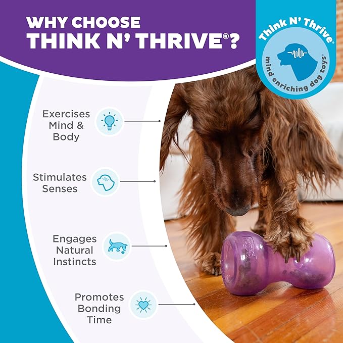 Outward Hound Double Snoop Interactive Treat Dispensing Dog Toy, Puzzle Ball Slow Feeder for Medium to Large Dogs, Mint-Scented for Mental Stimulation & Boredom Relief, 6-inch