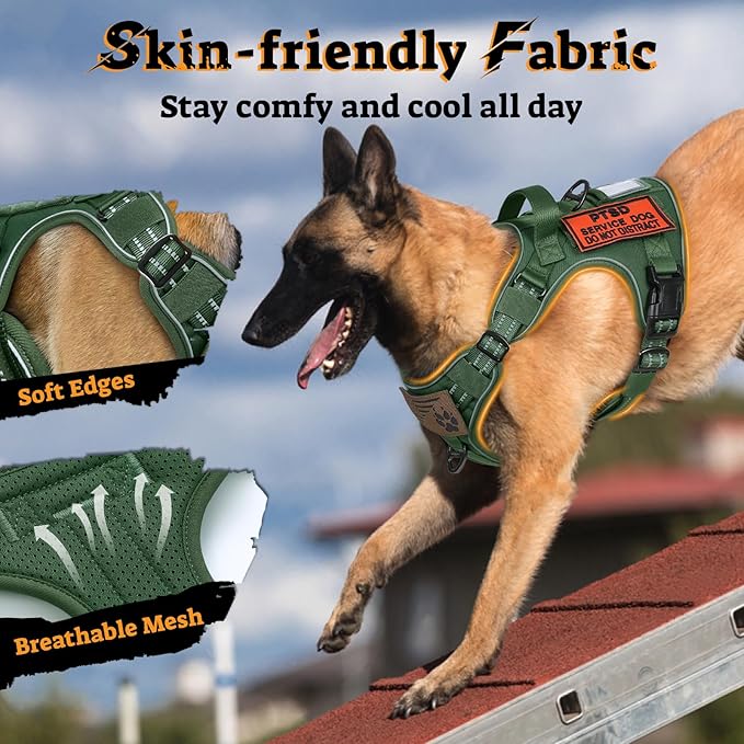 rabbitgoo Dog Harness for Large Dogs No Pull, Tactical Service Pet Vest with Molle and Control Handle, Adjustable and Reflective Military Harness for Easy Walking and Training, Green, XL