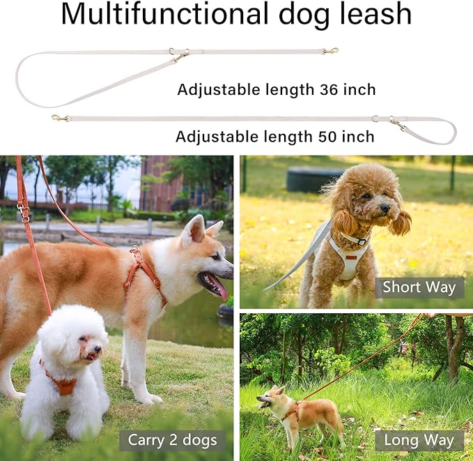 CHEDE No Pull Puppy Harness and Multifunction Dog Leash Set- 8 Colors Soft Adjustable No Choke Escape Proof Cute,Lightweight Pet Vest Harness for Small and Medium Dog…