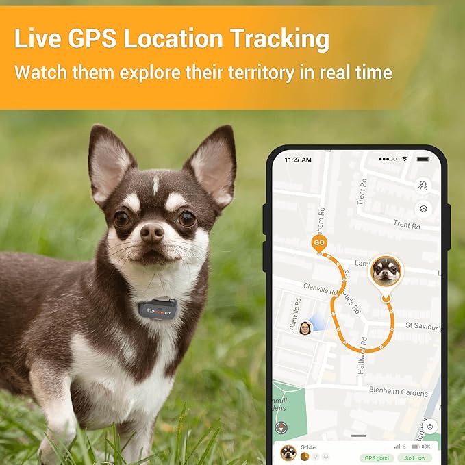 Pawfit Lite for Small Dogs 4g GPS Tracker | Real Time Tracking | Activity Monitoring |Location History | Unlimited Range | Onyx Black