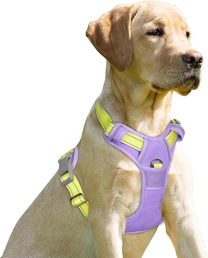 BARKBAY No Pull Dog Harness Front Clip Heavy Duty Reflective Easy Control Handle for Large Dog Walking(Violet Purple & Sunlight,XS)