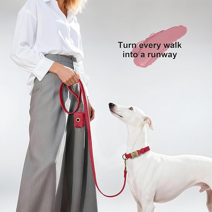 Didog Soft PU Leather Dog Collar, Stylish Quick Released Dog Collars for Medium Dogs, Easy Clean Adjustable Pet Collar for Daily Walking, Red, M Fit 13-21" Neck