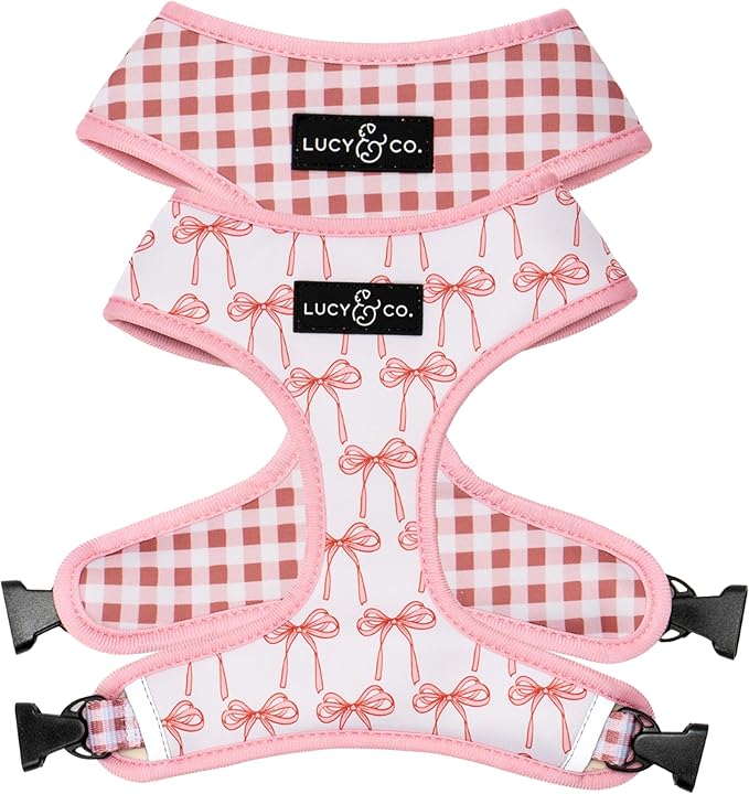 Lucy & Co. Cute Reversible Dog Harness Walking Halter - Best Designer Pet Harnesses for XS - XL Dogs - Padded Adjustable Vest for Easy Walking (Medium, Ballet Bows - White & Pink Bows)