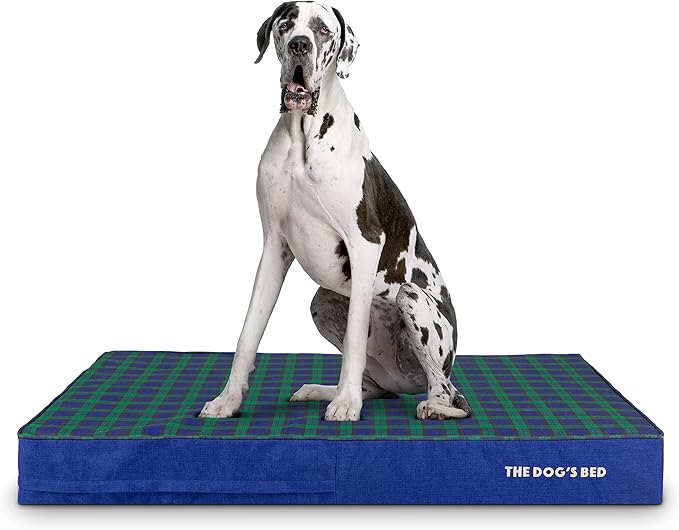 The Dog’s Bed Orthopedic Memory Foam Dog Bed XXL Black Watch Tartan, Pain Relief for Arthritis, Hip & Elbow Dysplasia, Post Surgery, Lameness Supportive, Waterproof Washable Cover, Veterinary Approved