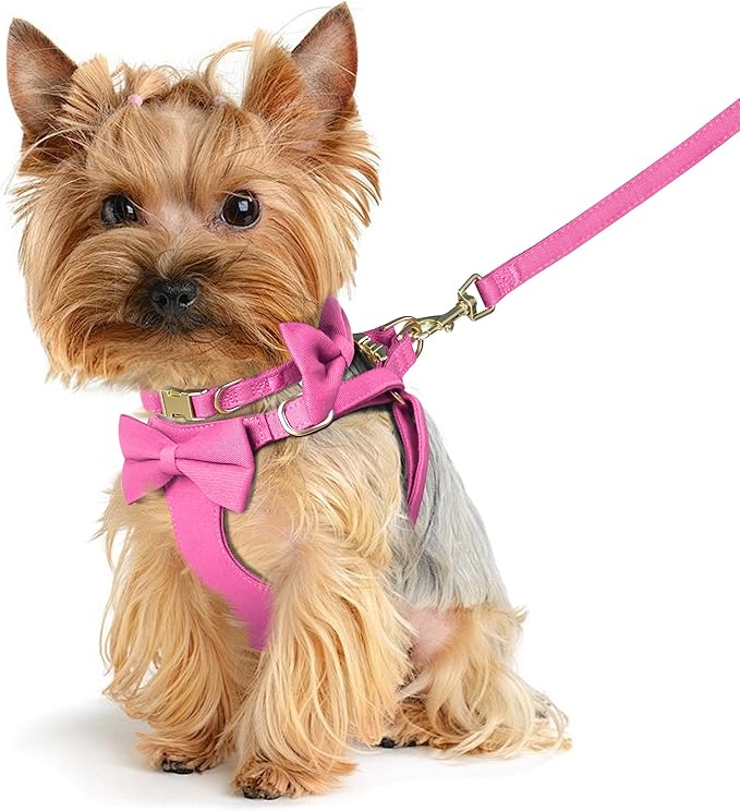 Beirui Cute XXS Dog Harness Set with Three Detachable Bows, Adjustable Step in Dog Harness Collar and Leash Set with Secure Metal Buckle for Daily Walking, Parties & Holiday Outfits(Hot Pink,XXS)