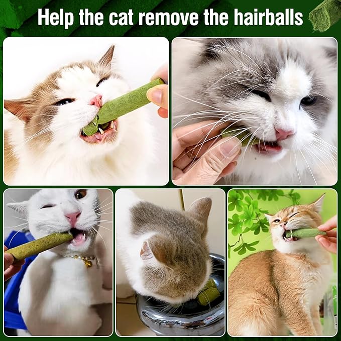 120g/4.23oz Cat Grass Teething Stick Hairballs,Chew Sticks for Cats,Catnip Toys Sticks Indoor Kitten Chew Stick (Green)