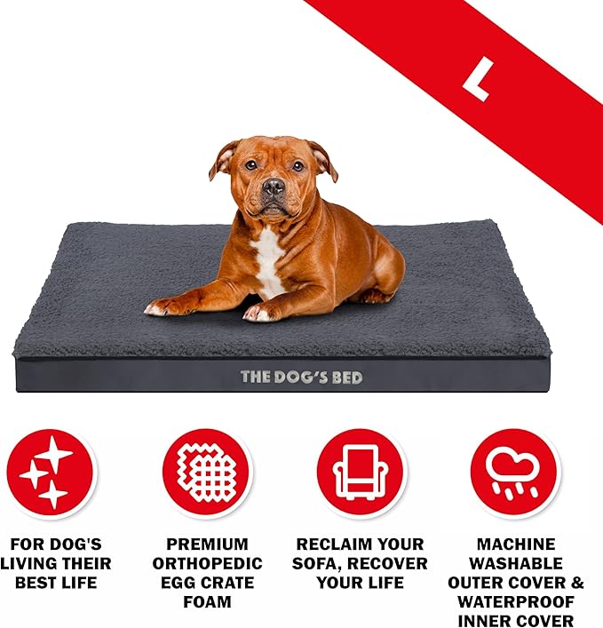 The Dog’s Bed Orthopedic Dog Bed, Large Grey Plush, Waterproof, Supportive Dog Bed with Washable Replaceable Covers, Veterinary Approved
