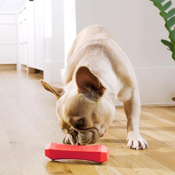 Playology Dog Toys | Durable Squeaky Chew Stick for Dogs | Medium Beef Scented Toy, Value 2-Pack - Easy to Clean and Made from Non Toxic Materials