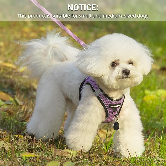 Dog Harness and Leash Set, Dog Harness for Dogs No Pull, No-Chock Step-in Reflective Breathable Lightweight Easy Walk Vest Harnesses with Safety Buckle for Small Medium Dogs, Cats (Light Purple, XXS)
