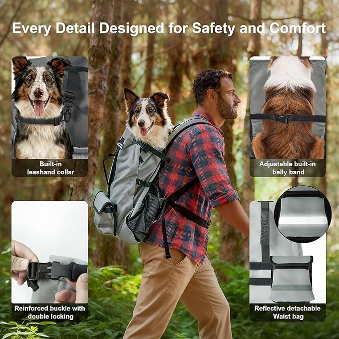 Dog Backpack Carrier, Ergonomic Pet Travel Bag, Suitable for Medium and Large Dogs, Built-in Leash and Adjustable Buckle, Ideal for Hiking and Cycling, M