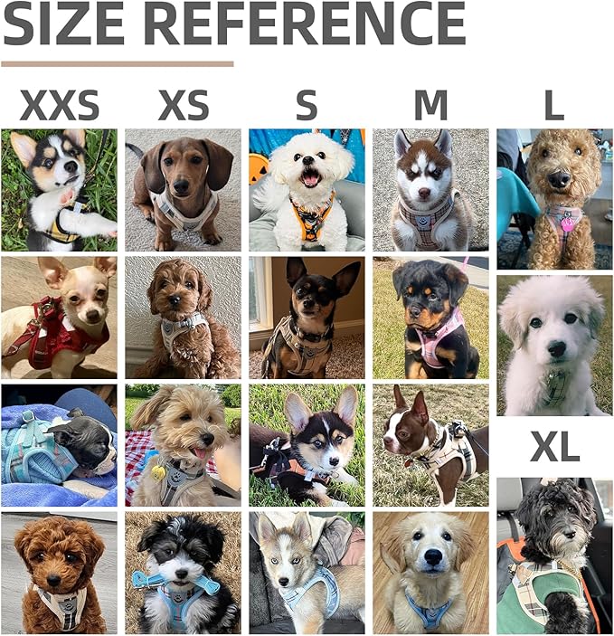 PUPTECK Adjustable Dog Harness Collar and Leash Set Step in No Pull Pet Harness for Small Medium Dogs Puppy and Cats Outdoor Walking Running, Soft Mesh Padded Reflective Vest Harnesses, Beige L