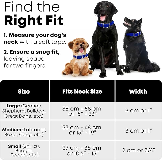 Regal Dog Products Small Blue with Custom Engraved Reflective Dog Collar and Leash Set | Waterproof Dog Collar with D Ring | Center Ring & 5'ft Leash | Matching Dog Collar and Leash for Dogs