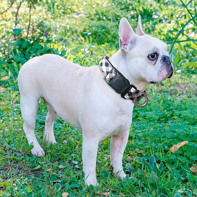 Reflective Dog Collar Padded with Soft Neoprene Breathable Adjustable Nylon Dog Collars for Small Medium Large Dogs (Small (Pack of 1), Black Plaid Collar+Leash)