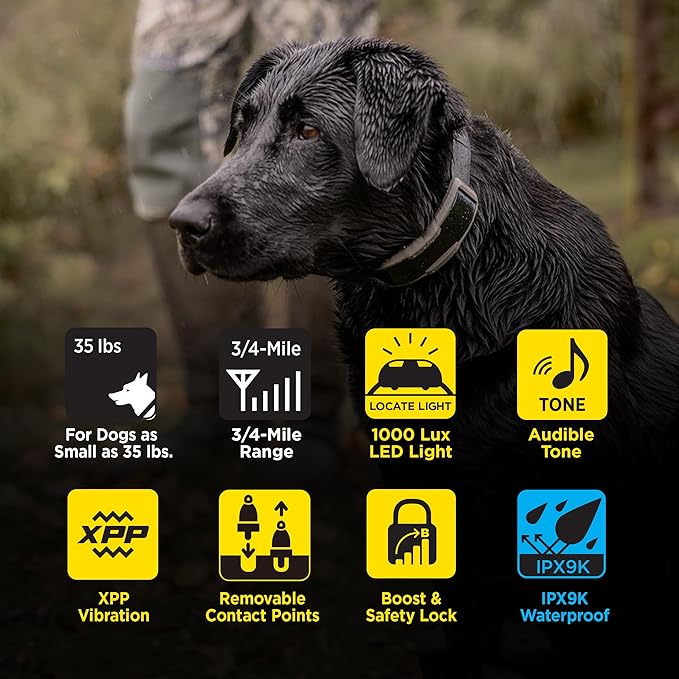 Dogtra 1900X 2-Dogs E-Collar with Remote [New Edition] 35 lbs+, 3/4 Mile Range, LED Light, 100 Levels Control for Stubborn Dogs, Waterproof, Boost for Quick Recall, Vibration, Safety Lock & Tone