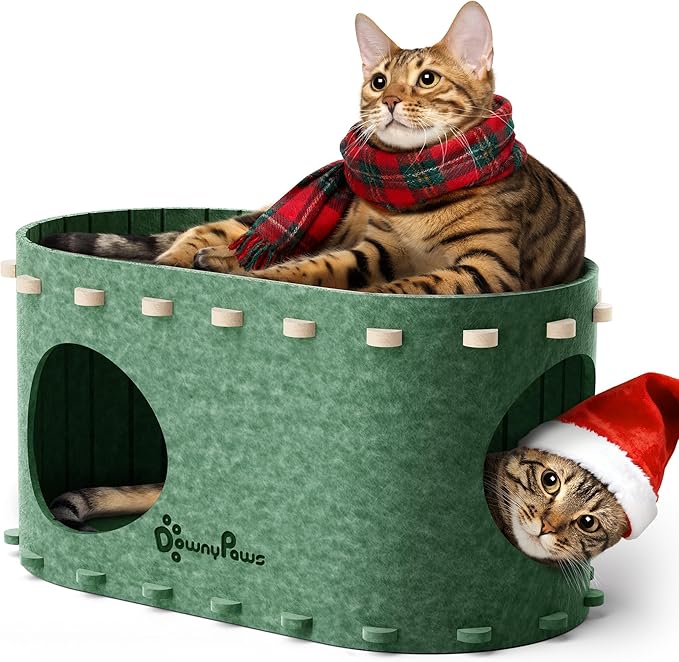 DownyPaws Cat House for Indoor Cats, Cat Bed Cave for Multiple & Large Cats Up to 22 Lbs, Scratch Resistant Peekaboo Cat Caves, Foldable Tunnel Enclosed Bed, PeekaPurr, Forest