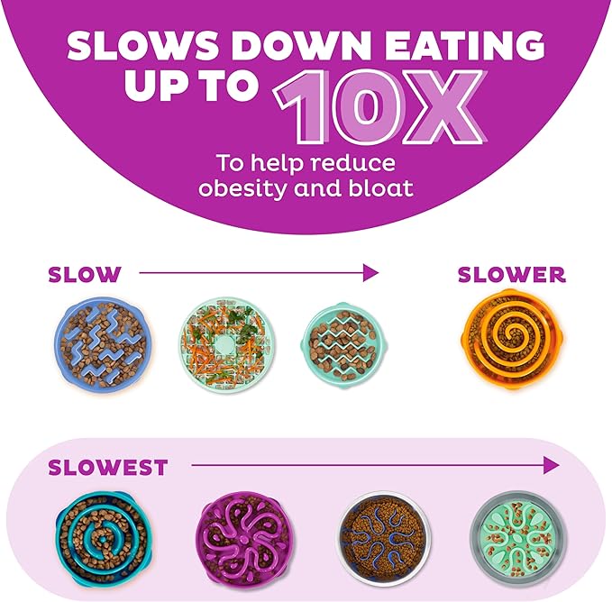 Outward Hound Medium Slow Feeder Bowl, Puzzle Maze for Fast Eaters, Small to Medium Dogs, Helps Prevent Bloat & Aid Digestion, Holds 2 Cups Wet or Dry Food, Non-Slip, Made Without BPA, Purple