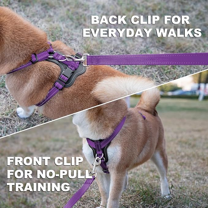 Plutus Pet Adjustable No Pull Dog Harness with Leather Accents, Heavy Duty Reflective Nylon Vest for Training, Hiking, Easy Walk Harness for Small, Medium, Large Dogs (Purple, S)