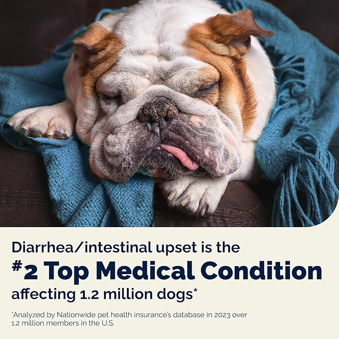 Vetnique Glandex Daily Probiotics for Dogs with Prebiotics to Support Gut Health with Fiber and Digestive Enzymes, Probiotic Chews or Powders (120ct Chews, Bacon Chews)