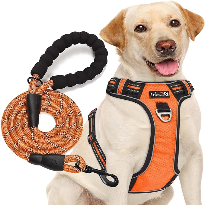 No Pull Dog Harness Adjustable Reflective Oxford Easy Control Medium Large Dog Harness with A Free Heavy Duty 5ft Dog Leash