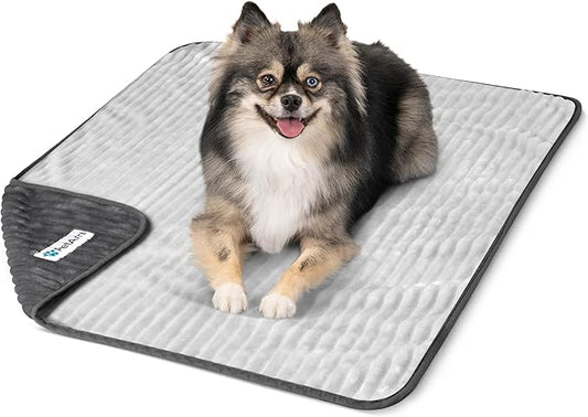 PetAmi Waterproof Dog Blanket, Leakproof Pet Blanket for Small Medium Large Dog, Reversible Furniture Bed Sofa Couch Cover Protector, Soft Striped Pet Throw for Indoor Cat, 29x40 in, Grey Light Gray