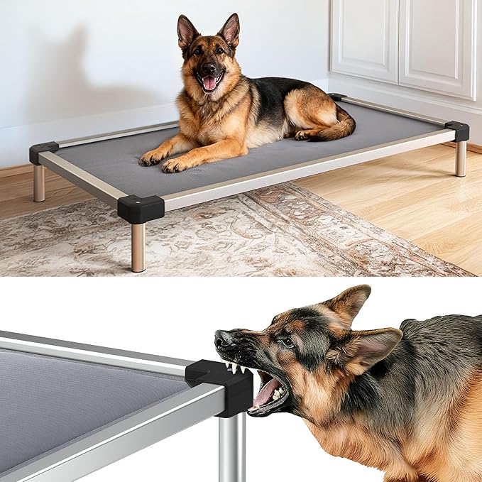 FXW TitanNest Chew-Proof Elevated Dog Bed, Raised Cot for Indoor/Outdoor/Camping Use, Durable & Washable Padded Pet Bed for Large Dogs, 50.0" L x 31.0" W x 7.3" H, Gray