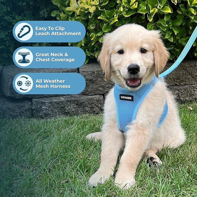 Voyager Step-in Air All Weather Mesh Harness and Reflective Dog 5 ft Leash Combo with Neoprene Handle, for Small, Medium and Large Breed Puppies by Best Pet Supplies - Set (Baby Blue), L