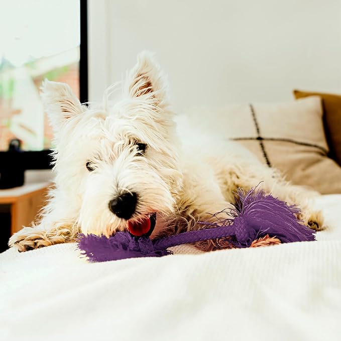 Playology Dog Toys | Dri-Tech Rope Toy Tug of War Rope for Aggressive Chewers (Value 2-Pack) | Small Bacon Scented Toys - Easy to Clean and Made from Non Toxic Materials