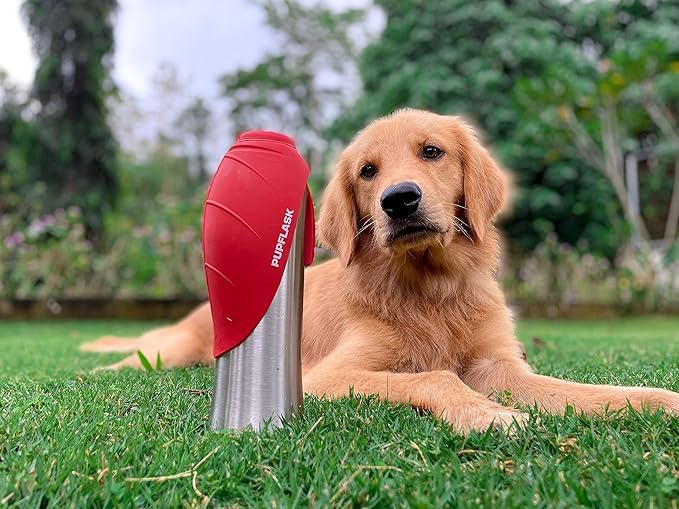 PupFlask Large Dog Water Bottle | 27 or 40 OZ Stainless Steel | Convenient Dog Drink Dispenser | Puppy Travel Water Bowl | Portable Pet Hydration Bottle | Leak Proof | Perfect Size For All Breeds