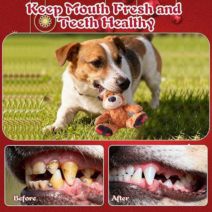 Christmas Squeaky Dog Toys for Large Dogs, Interactive Tug of War Bear to Keep Them Busy - XMS Bear with Crinkle Paper for Puppy Small Medium Large Dogs