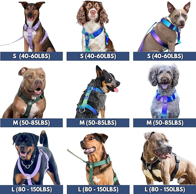 Spark Paws No Pull Dog Harness for Large Dogs, Heavy Duty Dog Harness for Big Strong Breeds, Adjustable, Y Shaped Padded Halter Design with Front Clip - Kaleidoscope- L