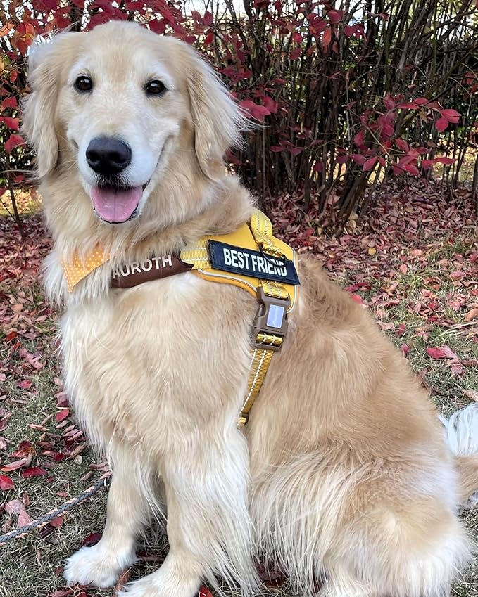 AUROTH Dog Harness and Leash Set, Soft Padded Dog Vest with 5.25FT Dog Leash, No Choke, Easy On Pet Vest, Adjustable Reflective No Pull Dog Harness for Large Dogs, Easy Walking and Training