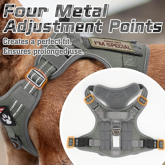 rabbitgoo Tactical Dog Harness Medium Sized Dog, No Pull Military Service Vest with Handle & Molle, Easy Control for Training Walking, Adjustable Reflective Straps, Dark Grey, M