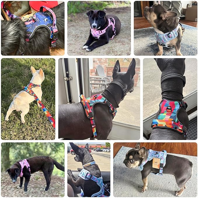 BEAUTYZOO No Pull Dog Harness Large, Adjustable Dog Harness and Leash Set -Easy Wearing with 3 Buckles/Control Handle,No Choke Soft Padded Reflective Pet Vest for Training Walking Hiking,Grey S