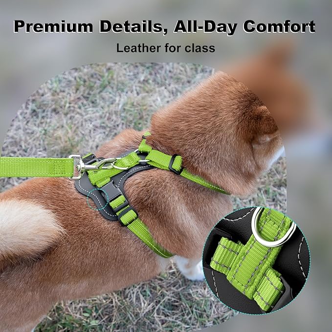 Plutus Pet Adjustable No Pull Dog Harness with Leather Accents, Heavy Duty Reflective Nylon Vest for Training, Hiking, Easy Walk Harness for Small, Medium, Large Dogs (Green, XL)