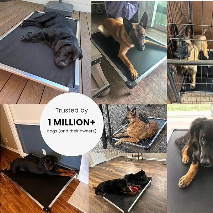 K9 Ballistics Chew Proof Elevated Outdoor Cooling Cot Bed for X Large Dogs - Virtually Indestructible, Preassembled, Withstands Aggressive Chewers - XL, Black Mesh