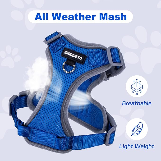 Small Dog Harness and Leash Set，No Pull Adjustable Pet Harness for Small Dogs ，Breathable Mesh Reflective Dog Vest Harness (Blue, XS)