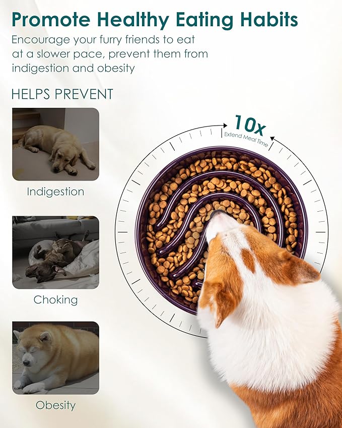 vancasso Slow Feeder Dog Bowl, 1.5 Cup Ceramic Slow Feeding Food Dish for Small and Medium Breed, Puzzle Dog Food Bowl for Fast Eater, Dark Purple
