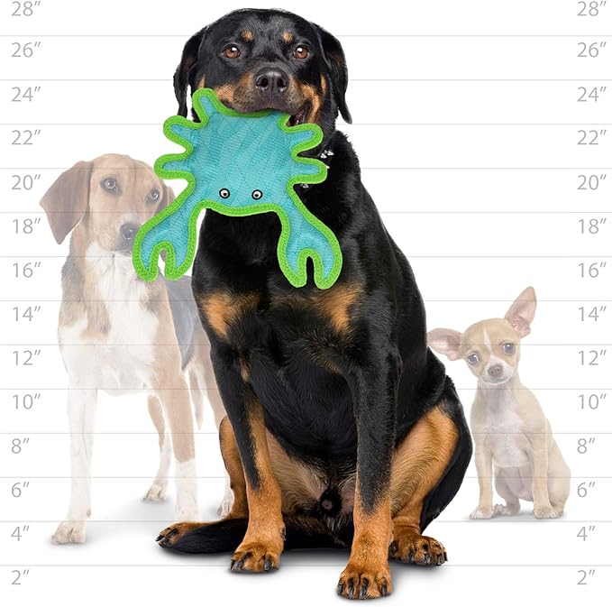 DURA FORCE - Durable Woven Fiber - Crab - Squeakers - Multiple Layers. Made Durable, Strong & Tough. Interactive Play Dog Toy (Tug, Toss & Fetch). Machine Washable & Floats (Combo Pack)