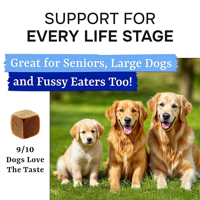 Advanced Dog Probiotics for Digestive Health & Enzymes - Diarrhea, Gas, Upset Stomach Relief & Season Allergy - Chews for Digestion - Prebiotics Fiber Supplement - Pet Probiotics for Dogs - 120 Chews