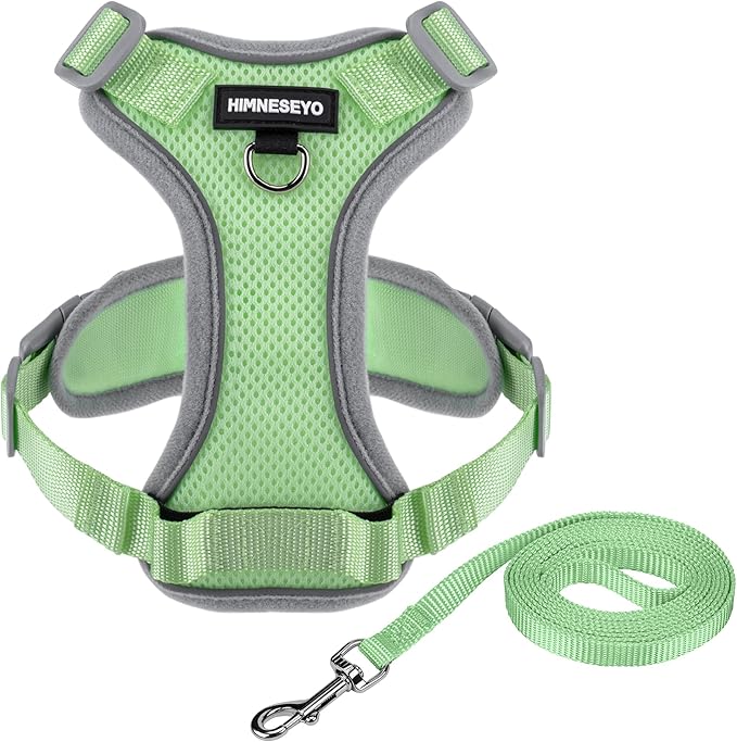 Small Dog Harness and Leash Set, No Pull Adjustable Pet Harness for Small Dogs, Breathable Mesh Rflective Dog Vest Harness (Green, XXS)