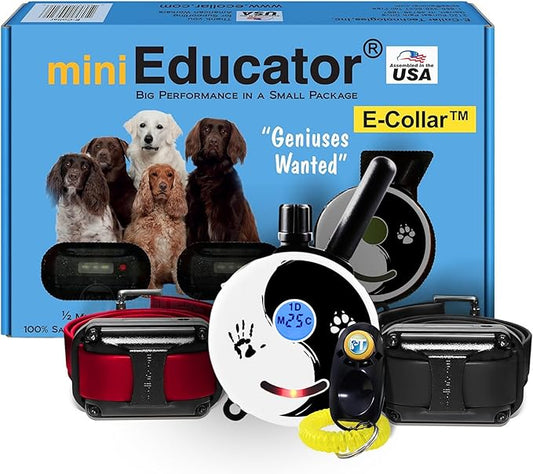Educator ET-302 Zen Mini E Collar for Dog Training with Remote - 1/2 Mile Range, Waterproof, 100 Blunt Stimulation Levels, Tone or Vibration Mode, Night Light for Small, Medium & Large Dogs (2 Dogs)
