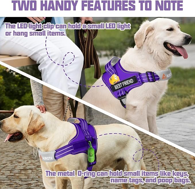 AUROTH Dog Harness and Leash Set, Soft Padded Dog Vest with 5.25FT Dog Leash, No Choke, Easy On Pet Vest, Adjustable Reflective No Pull Dog Harness for Large Dogs, Easy Walking and Training