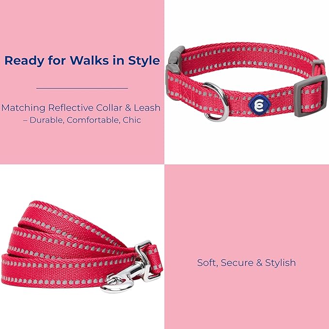 Blueberry Pet Essentials Matching Dog Collar & Leash Set | Pastel Reflective Adjustable Collar with 5 ft Lead for Medium Dogs, Very Berry