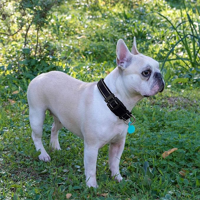 Reflective Dog Collar Padded with Soft Neoprene Breathable Adjustable Nylon Dog Collars for Small Medium Large Dogs (Large (Pack of 1), Black Collar+Leash)