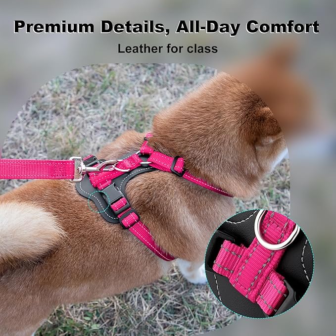 Plutus Pet Adjustable No Pull Dog Harness with Leather Accents, Heavy Duty Reflective Nylon Vest for Training, Hiking, Easy Walk Harness for Small, Medium, Large Dogs (Hot Pink, M)