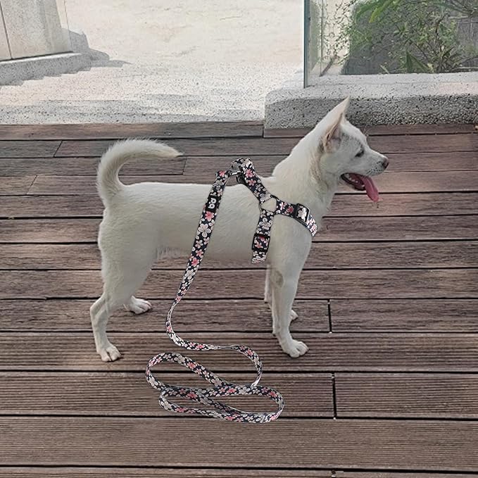 QQPETS Dog Harness Leash Set Adjustable Heavy Duty No Pull Halter Harnesses for Small Medium Large Breed Dogs Back Clip Anti-Twist Perfect for Walking